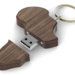 Africa USB